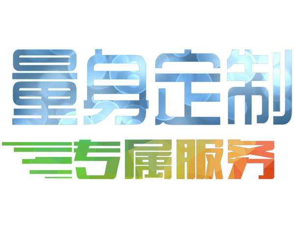 WEB定制开发